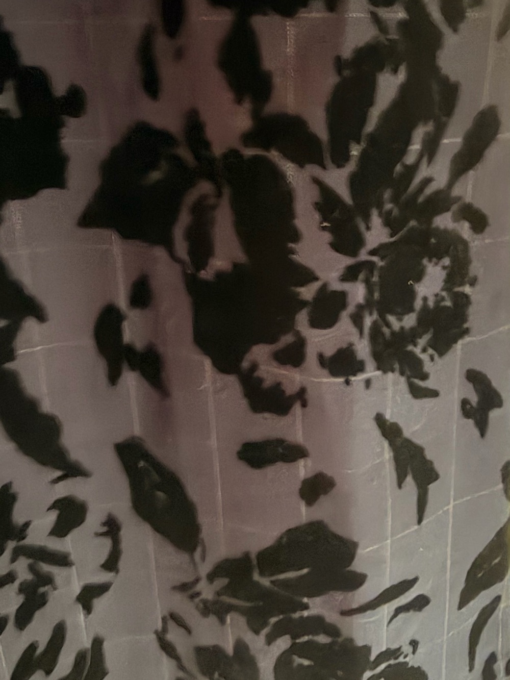 Anthropologie Black Floral Wide-Leg Pants - Picture 2 of 3